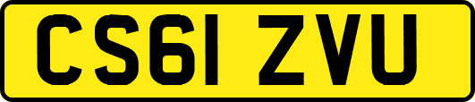 CS61ZVU