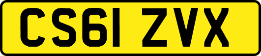 CS61ZVX