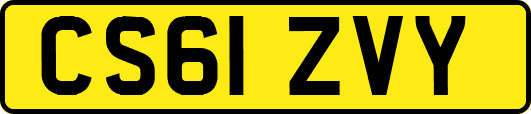 CS61ZVY