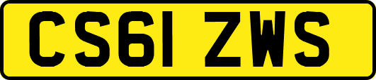 CS61ZWS