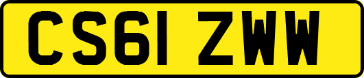 CS61ZWW