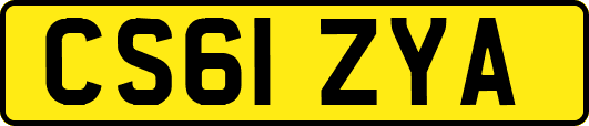 CS61ZYA