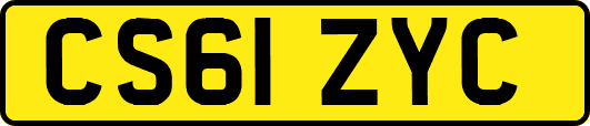 CS61ZYC