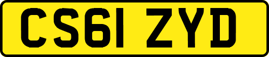 CS61ZYD