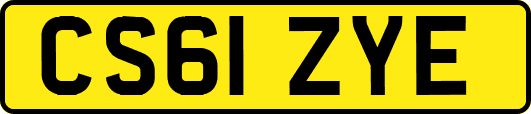 CS61ZYE