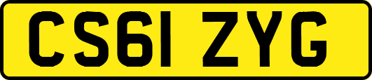CS61ZYG