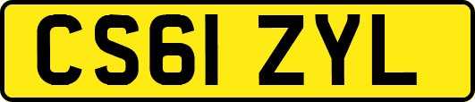 CS61ZYL