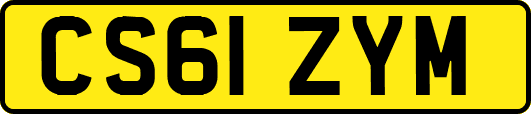 CS61ZYM