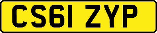 CS61ZYP