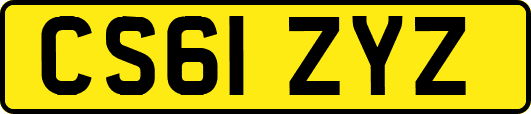 CS61ZYZ