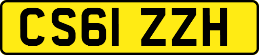 CS61ZZH