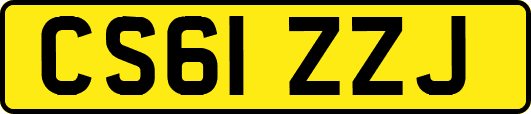 CS61ZZJ