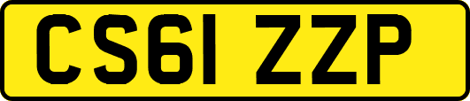 CS61ZZP
