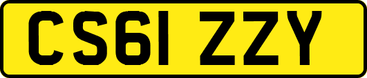 CS61ZZY