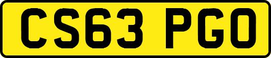 CS63PGO
