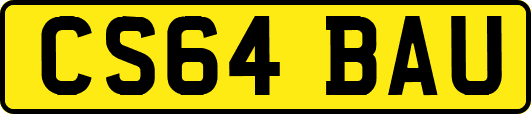 CS64BAU