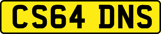 CS64DNS