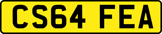 CS64FEA