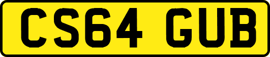 CS64GUB