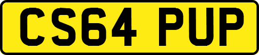 CS64PUP