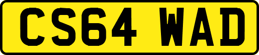 CS64WAD