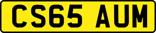 CS65AUM