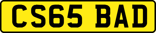 CS65BAD