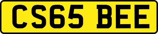 CS65BEE