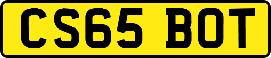 CS65BOT