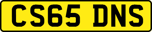 CS65DNS