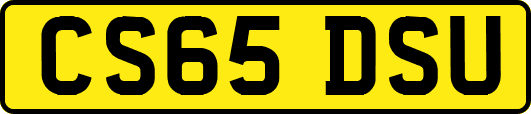CS65DSU