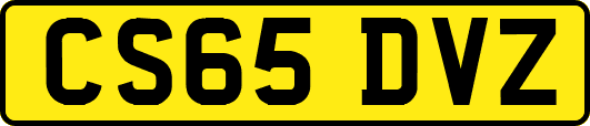 CS65DVZ