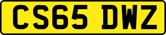CS65DWZ