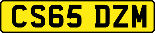 CS65DZM