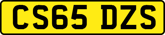 CS65DZS