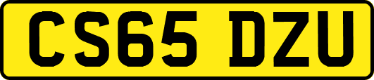 CS65DZU