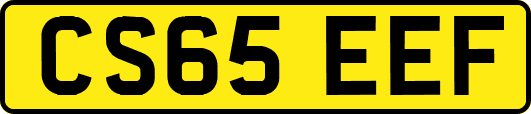 CS65EEF