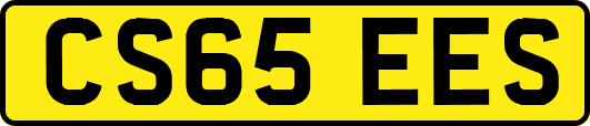 CS65EES