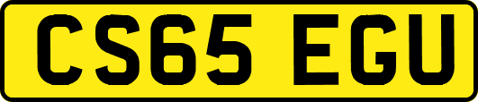 CS65EGU