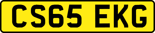 CS65EKG