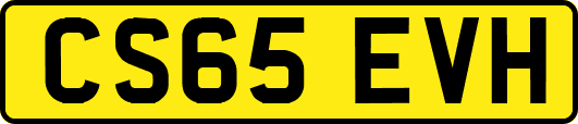 CS65EVH