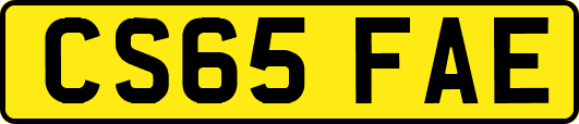 CS65FAE