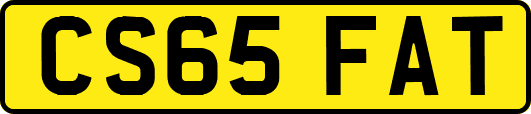 CS65FAT