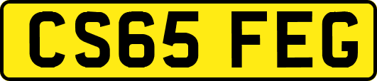 CS65FEG