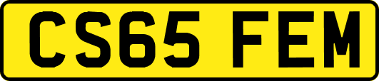 CS65FEM