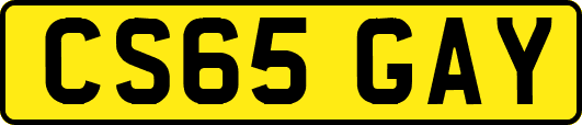 CS65GAY