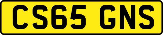 CS65GNS