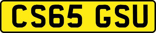 CS65GSU