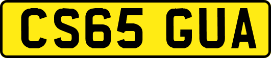 CS65GUA