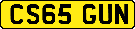 CS65GUN